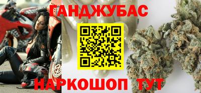 гашик Камышлов