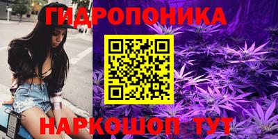 гашик Камышлов